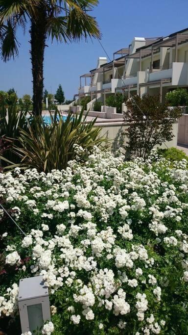 Residence Jesolo Lido Centro Con Piscina 外观 照片